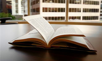 财政部关于代理发行2009年湖北省政府债券(二期)的公告